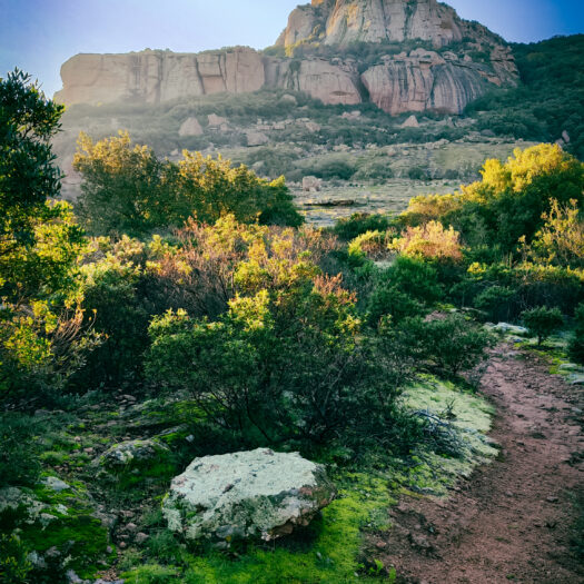 sentier vert rocher