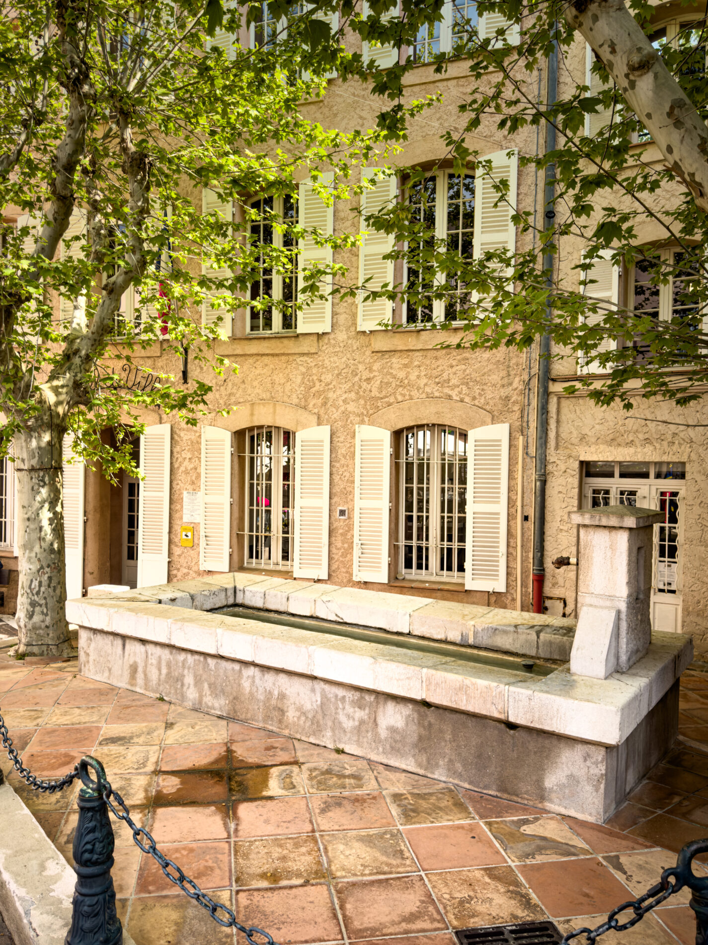 Lavoir sous les platanes