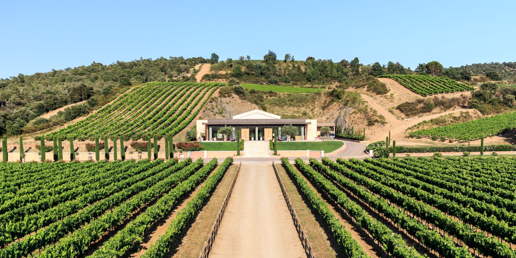 le château vaudois et ses vignes