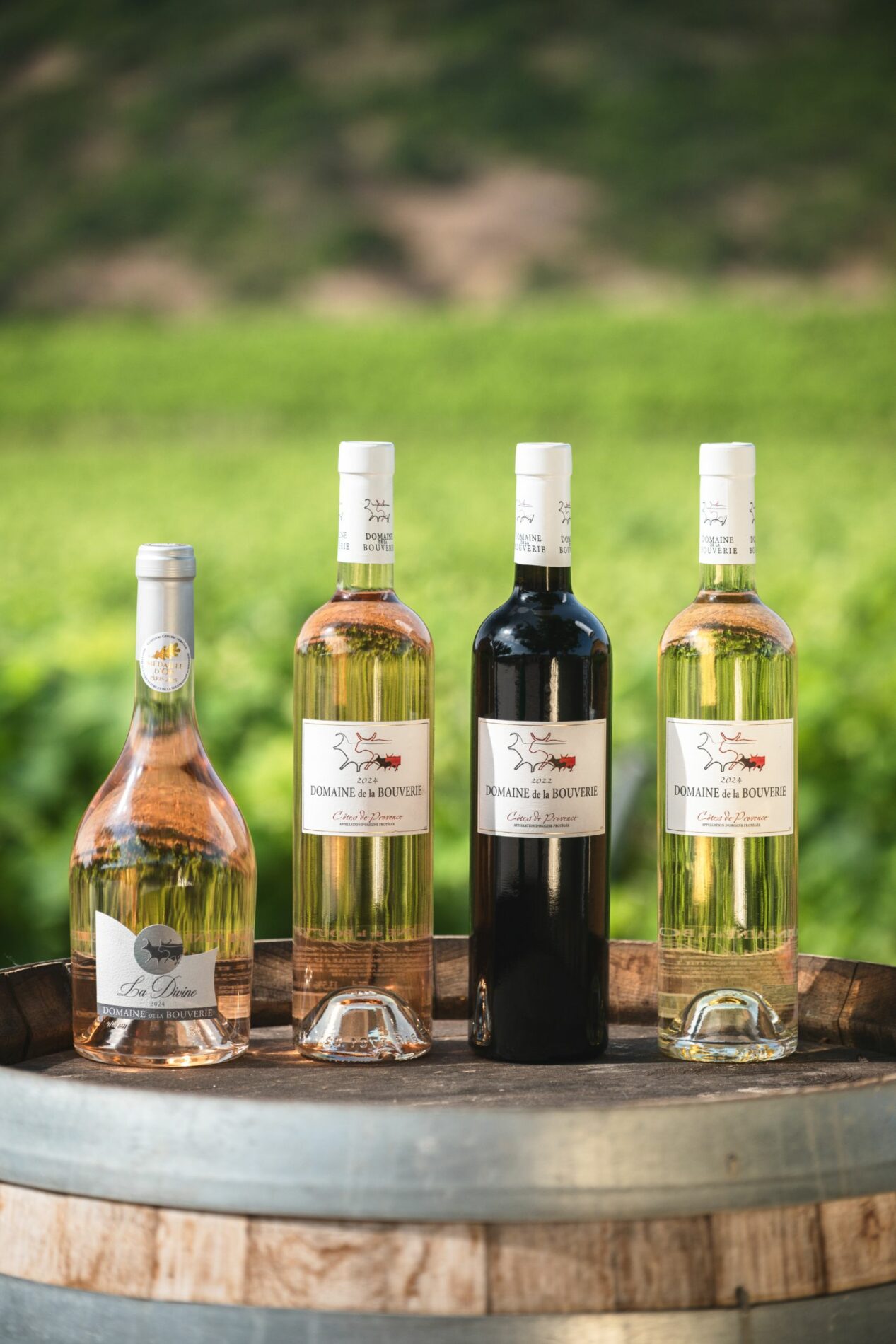 bouteilles de vin domaine de la bouverie