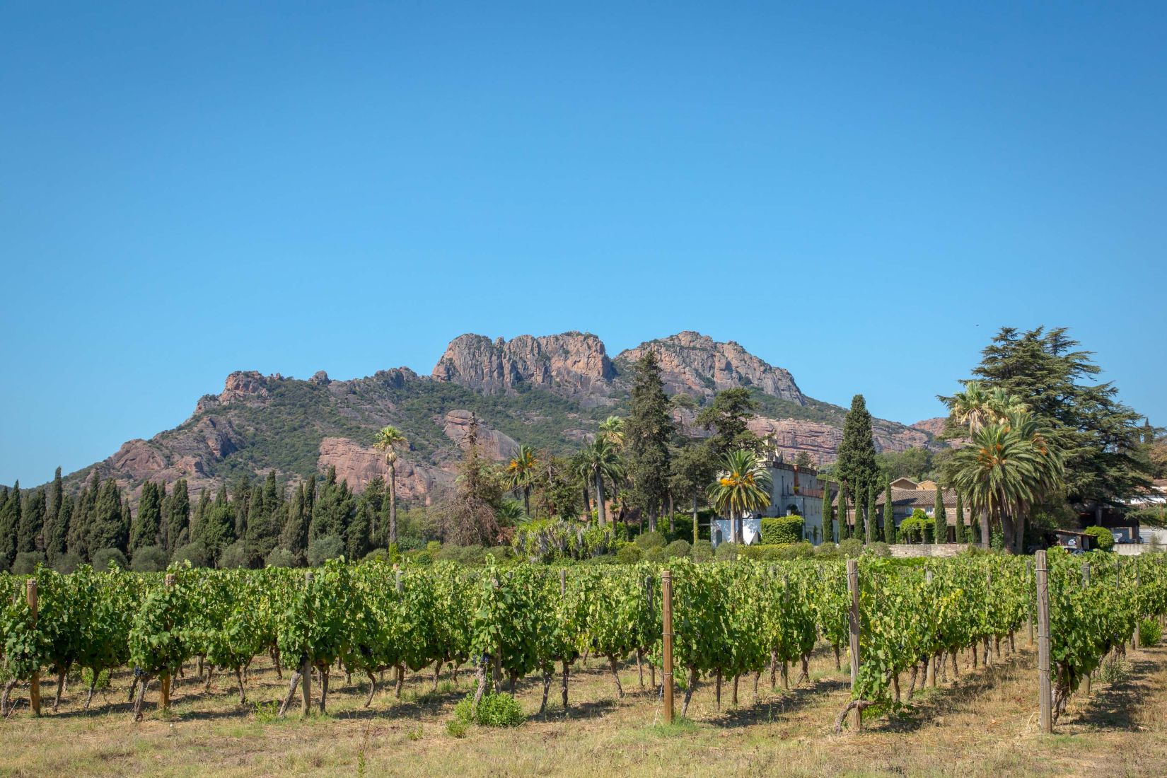 chateau de palayson avec les vignes , la maisone t le rocher
