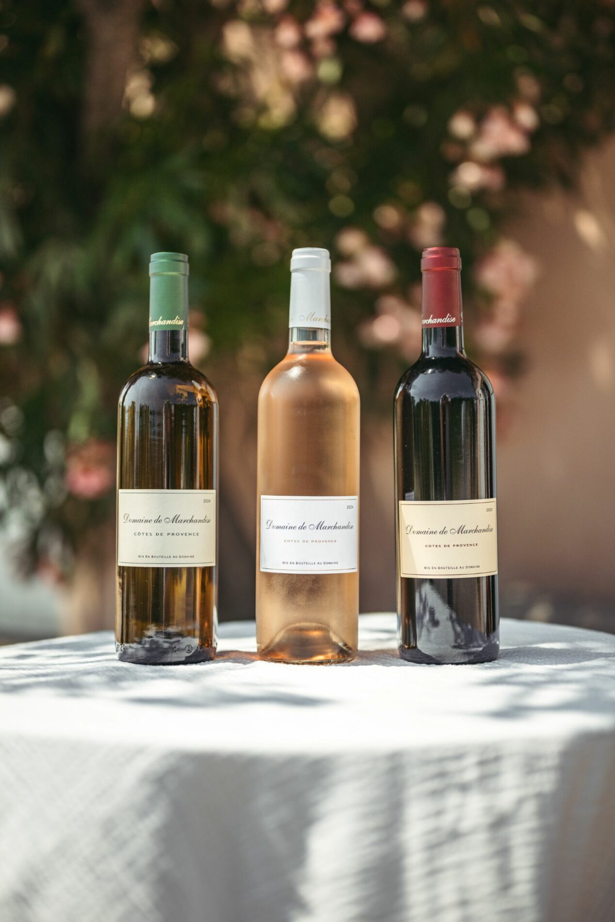 la trilogie des bouteilles de vins du domaine de marchandise