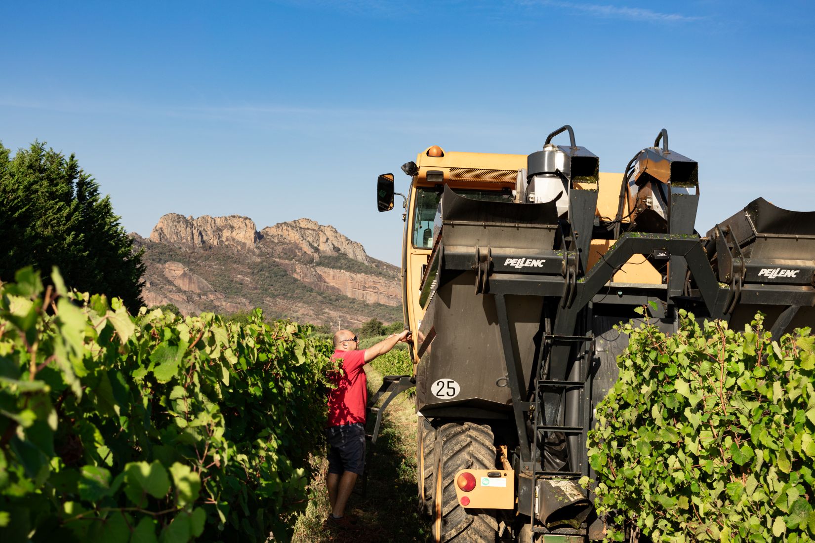 vendanges domaine du blavet