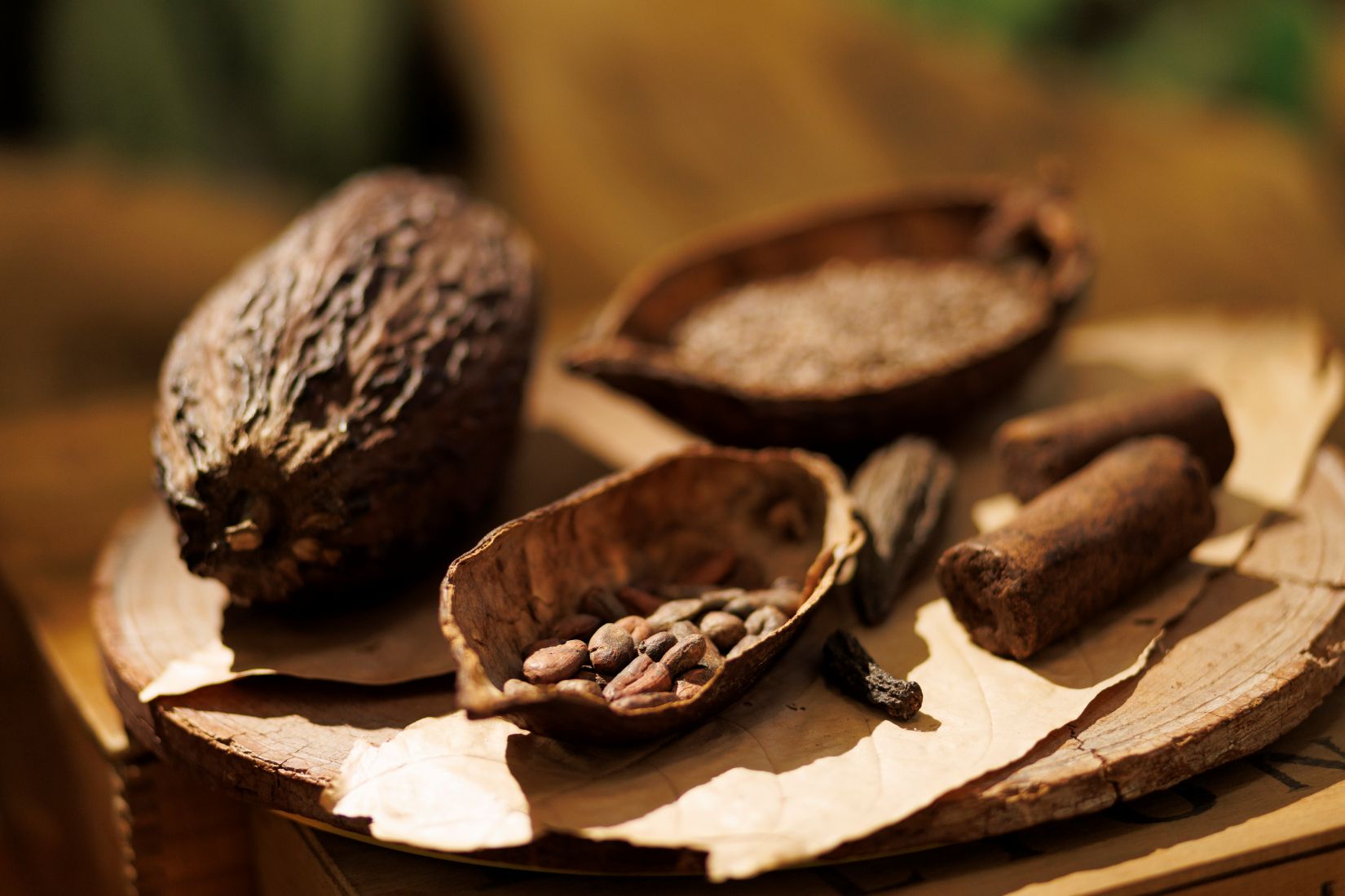 cabosse de cacao avec ses fèves