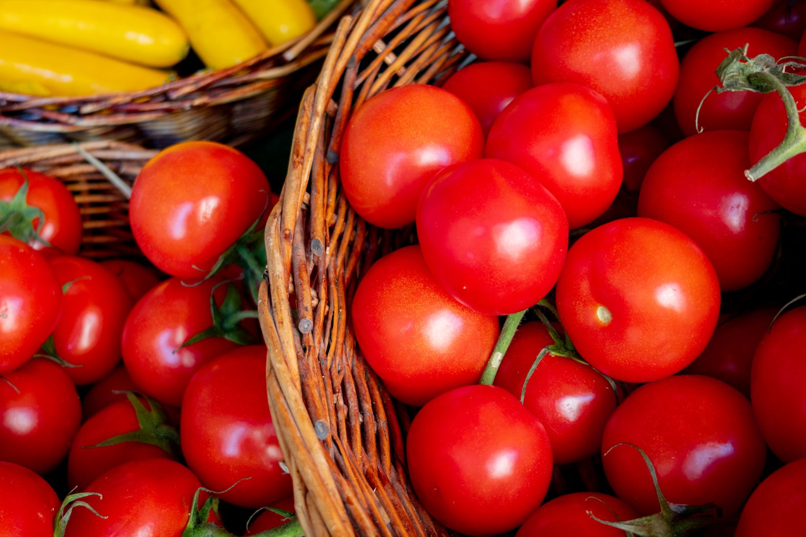 tomates rouges et courgettes jaunes