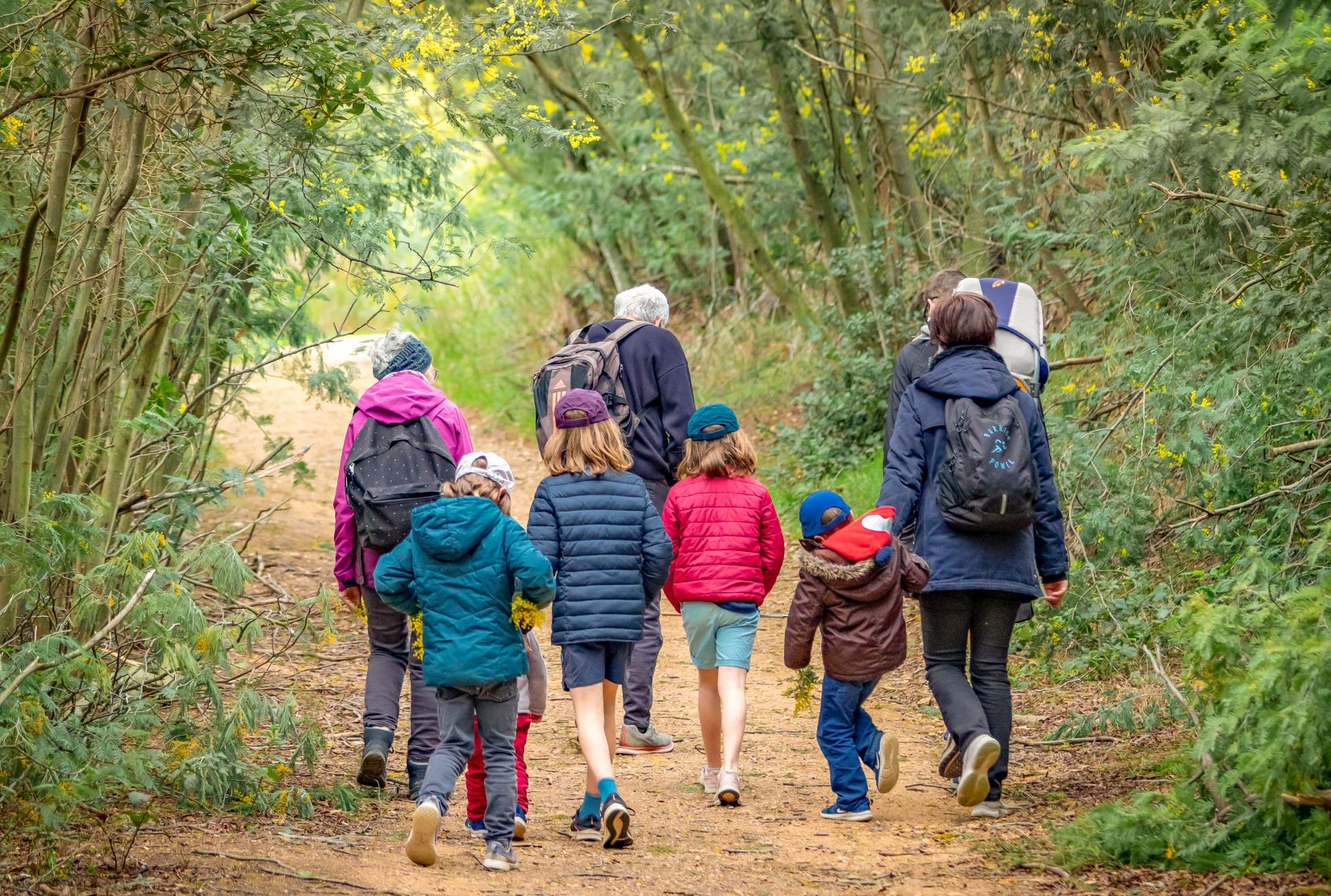 une famille qui marche dans la forêt de mimosa