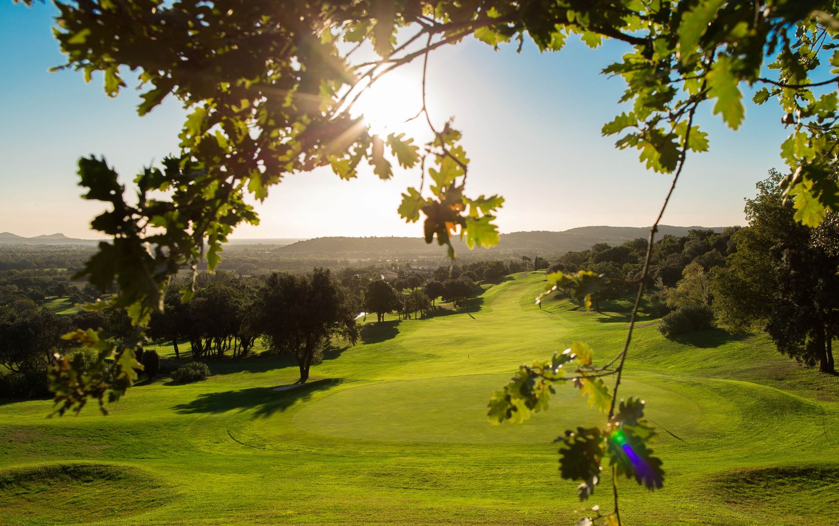 Vue ensoleillée du Golf de Roquebrune-sur-Argens à travers les branches d’un chêne, avec fairway verdoyant et collines en arrière-plan.
