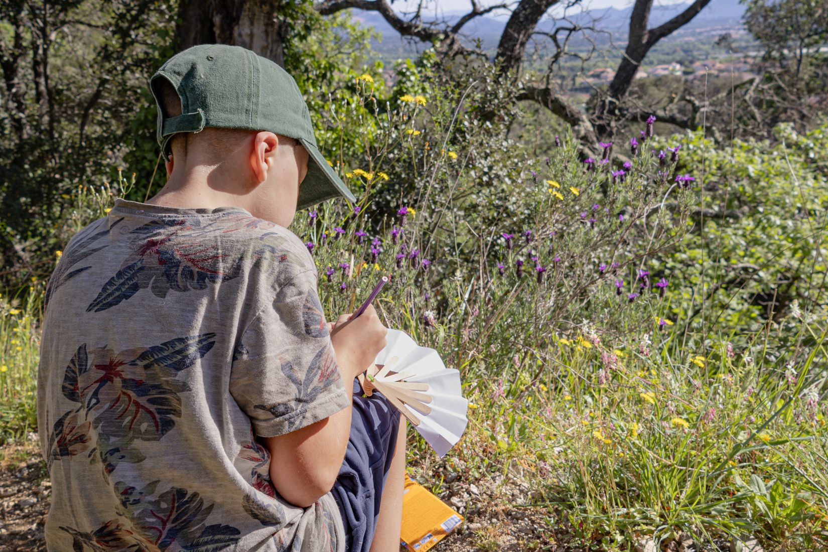 Enfant dessinant et observant la flore provençale lors d’un atelier nature à Roquebrune-sur-Argens