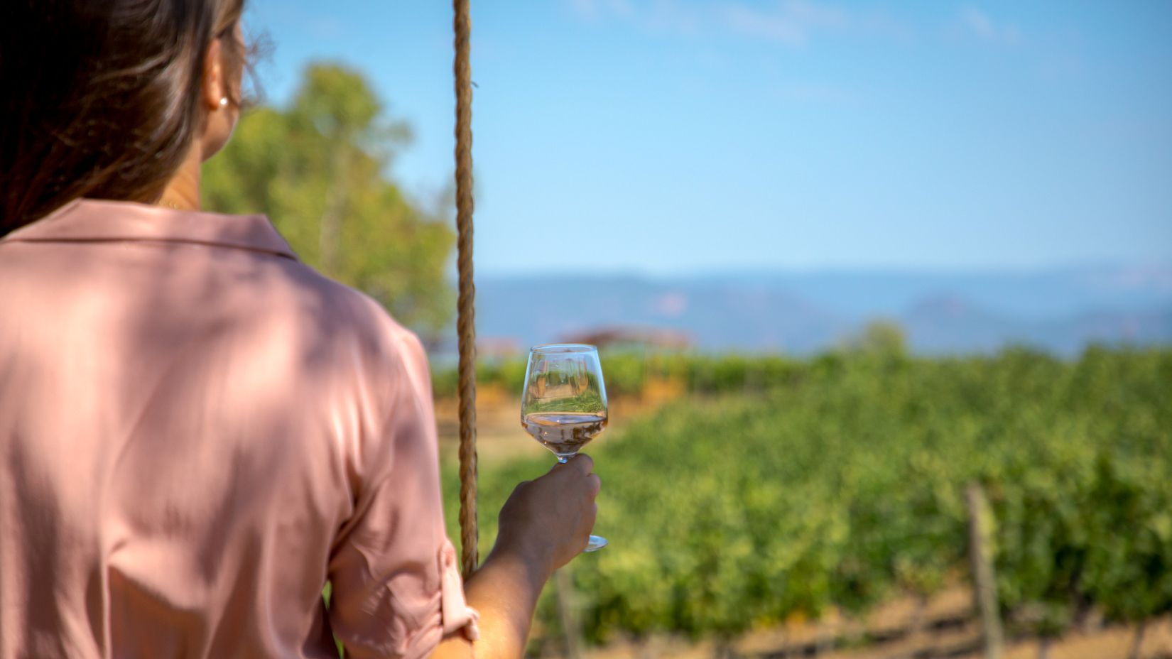 Personne dégustant un verre de vin dans les vignes du Château Vaudois avec vue sur les Gorges du blavet
