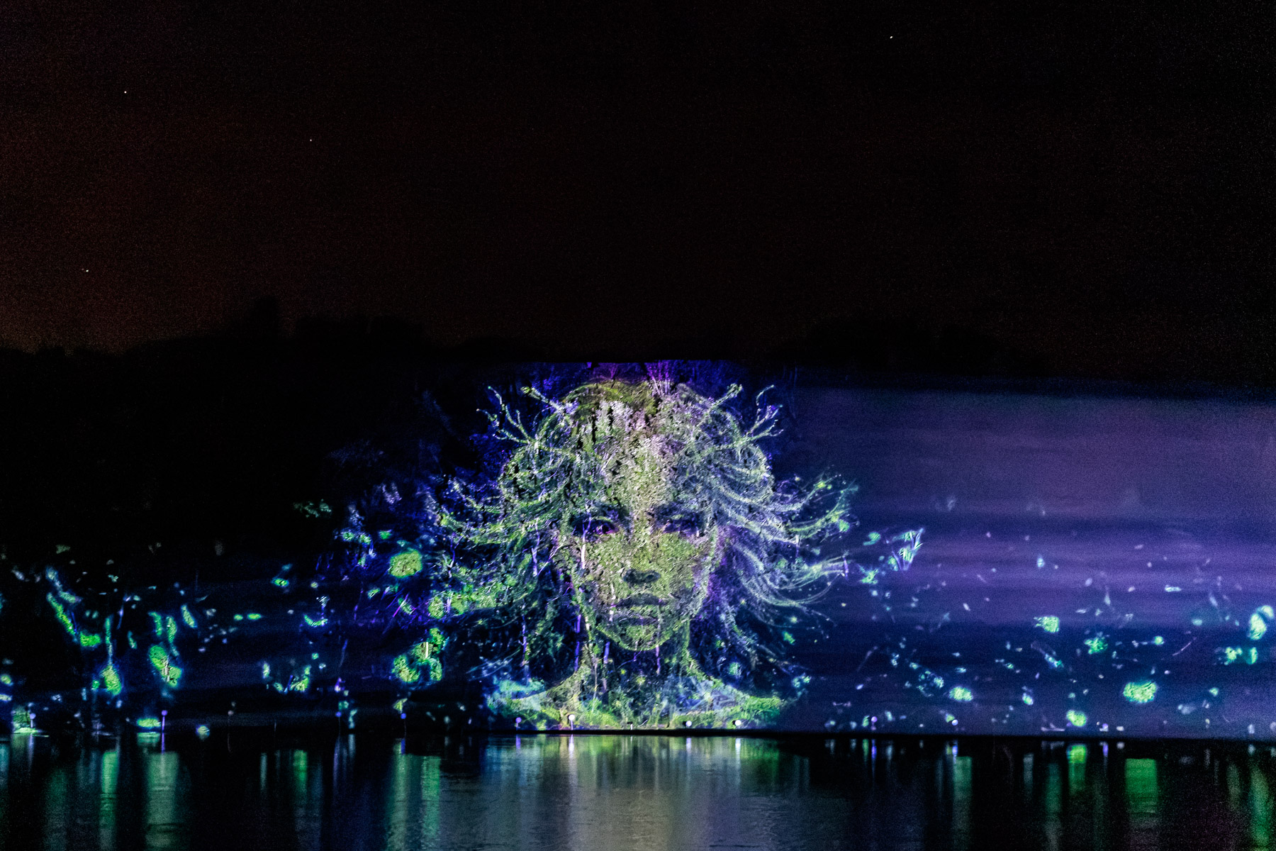 Visage fantastique projeté sur les arbres du lac de l'Aréna à la tombée de la nuit