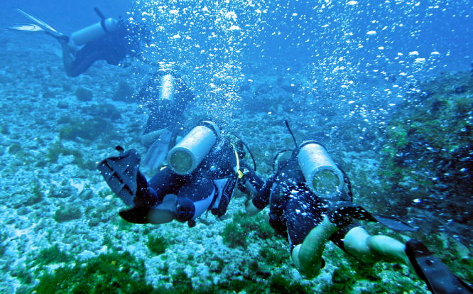 Groupe de plongeurs explorant les fonds marins au large des Issambres, en Méditerranée.