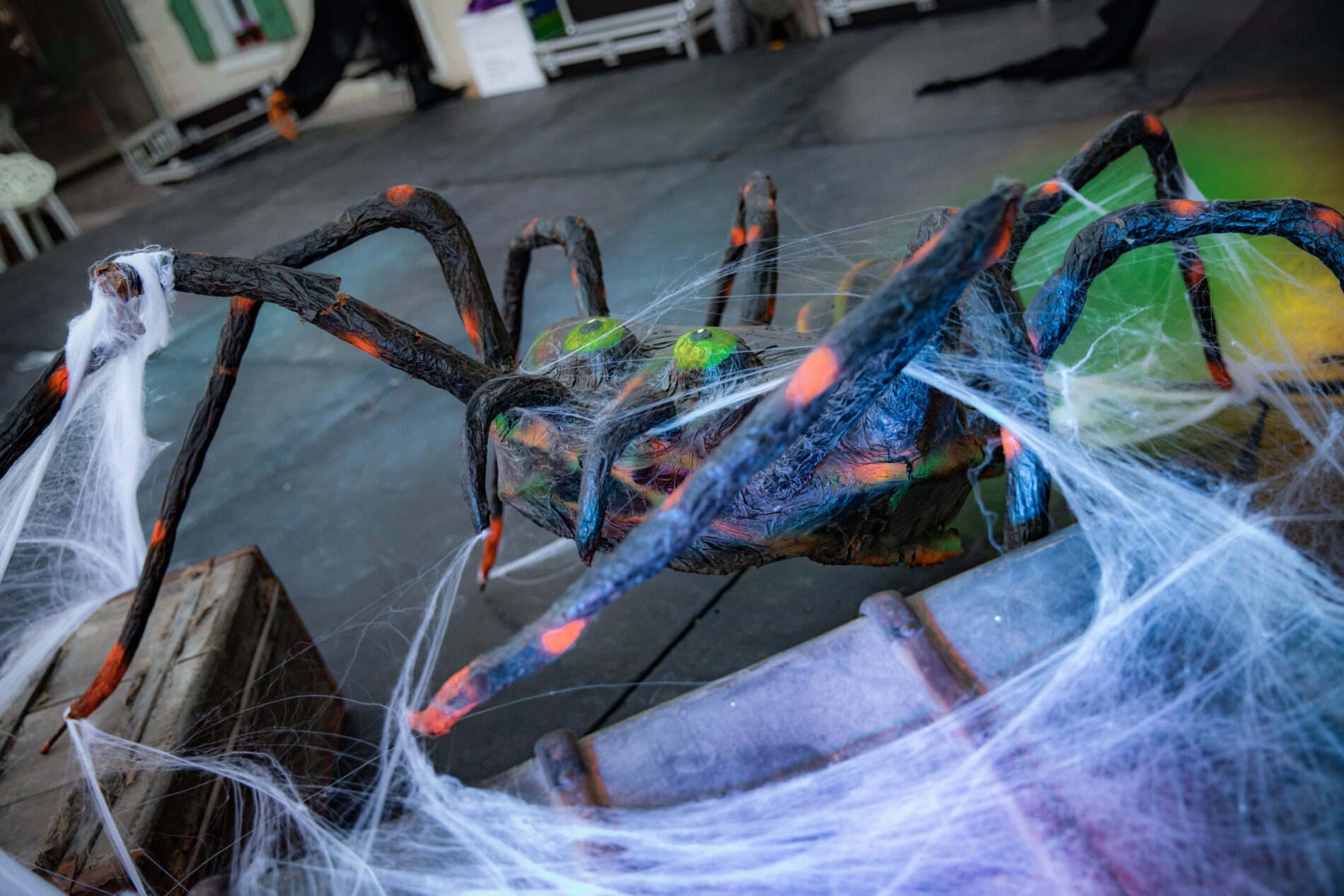 Araignée géante aux yeux verts entourée de toiles d'araignée, décoration d'Halloween à Roquebrune-sur-Argens